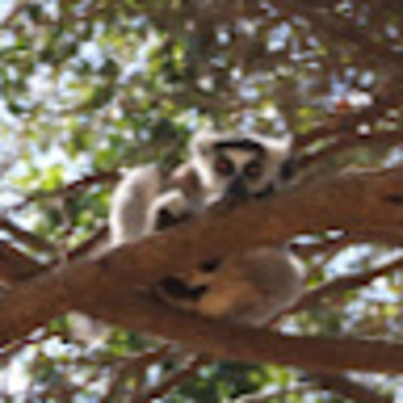 Meet your Posher, kya - Picture 1 of 1